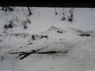 長野県菅平高原 ゆたか山荘 東側(坂下) 2026/03/02 17:00