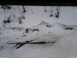 長野県菅平高原 ゆたか山荘 東側(坂下) 2026/03/02 17:15