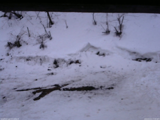 長野県菅平高原 ゆたか山荘 東側(坂下) 2026/03/02 17:30