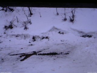 長野県菅平高原 ゆたか山荘 東側(坂下) 2026/03/02 17:45