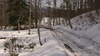 長野県菅平高原 ゆたか山荘 駐車場奥 2026/03/02 11:15