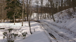 長野県菅平高原 ゆたか山荘 駐車場奥 2026/03/02 11:45