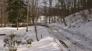 長野県菅平高原 ゆたか山荘 駐車場奥 2026/03/02 12:45