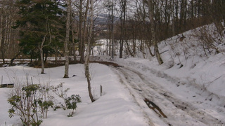 長野県菅平高原 ゆたか山荘 駐車場奥 2026/03/02 13:45