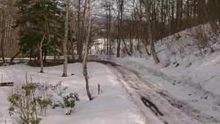 長野県菅平高原 ゆたか山荘 駐車場奥 2026/03/02 14:15