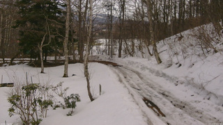長野県菅平高原 ゆたか山荘 駐車場奥 2026/03/02 14:45