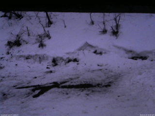 長野県菅平高原 ゆたか山荘 東側(坂下) 2026/03/03 06:00