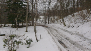 長野県菅平高原 ゆたか山荘 駐車場奥 2026/03/03 06:30