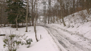 長野県菅平高原 ゆたか山荘 駐車場奥 2026/03/03 07:00