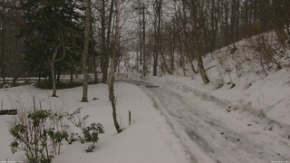 長野県菅平高原 ゆたか山荘 駐車場奥 2026/03/03 07:15