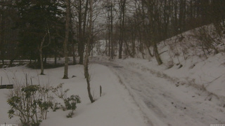 長野県菅平高原 ゆたか山荘 駐車場奥 2026/03/03 07:30