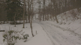 長野県菅平高原 ゆたか山荘 駐車場奥 2026/03/03 07:45