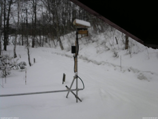 長野県菅平高原 ゆたか山荘 南側 2026/03/04 09:30