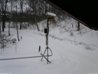 長野県菅平高原 ゆたか山荘 南側 2026/03/04 11:30