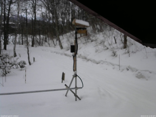 長野県菅平高原 ゆたか山荘 南側 2026/03/04 12:30