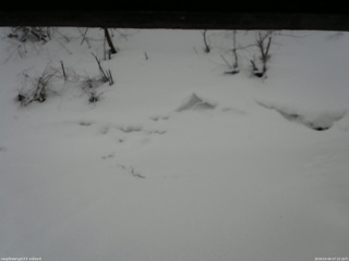 長野県菅平高原 ゆたか山荘 東側(坂下) 2026/03/04 07:15