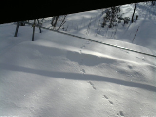 長野県菅平高原 ゆたか山荘 駐車場 2026/03/05 07:45