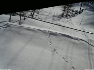 長野県菅平高原 ゆたか山荘 駐車場 2026/03/05 08:45