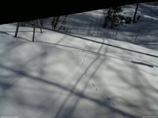 長野県菅平高原 ゆたか山荘 駐車場 2026/03/05 12:00
