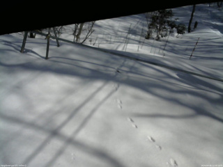 長野県菅平高原 ゆたか山荘 駐車場 2026/03/05 12:45