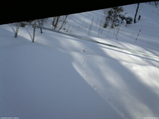 長野県菅平高原 ゆたか山荘 駐車場 2026/03/05 15:30