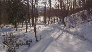 長野県菅平高原 ゆたか山荘 駐車場奥 2026/03/05 08:00