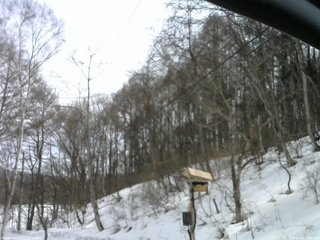 長野県菅平高原 ゆたか山荘 温度計 2026/03/06 12:30