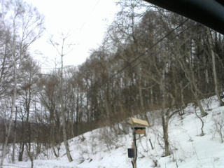 長野県菅平高原 ゆたか山荘 温度計 2026/03/06 13:45