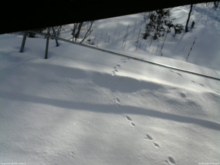 長野県菅平高原 ゆたか山荘 駐車場 2026/03/06 07:45