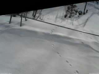長野県菅平高原 ゆたか山荘 駐車場 2026/03/06 08:15