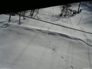 長野県菅平高原 ゆたか山荘 駐車場 2026/03/06 08:45