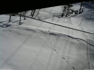 長野県菅平高原 ゆたか山荘 駐車場 2026/03/06 09:00