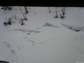 長野県菅平高原 ゆたか山荘 東側(坂下) 2026/03/07 12:45