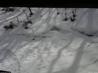 長野県菅平高原 ゆたか山荘 東側(坂下) 2026/03/07 13:00
