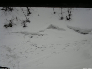 長野県菅平高原 ゆたか山荘 東側(坂下) 2026/03/07 13:30