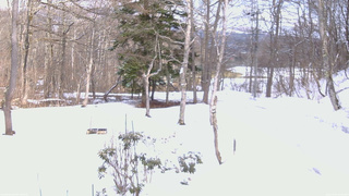 長野県菅平高原 ゆたか山荘 坂上 2026/03/07 14:45