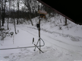 長野県菅平高原 ゆたか山荘 南側 2026/03/08 09:45
