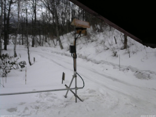 長野県菅平高原 ゆたか山荘 南側 2026/03/08 10:00
