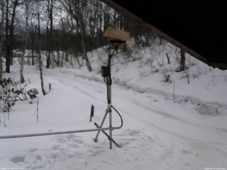 長野県菅平高原 ゆたか山荘 南側 2026/03/08 10:45