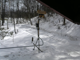 長野県菅平高原 ゆたか山荘 南側 2026/03/08 11:00