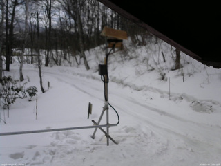 長野県菅平高原 ゆたか山荘 南側 2026/03/08 11:30