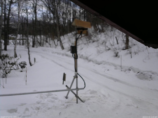 長野県菅平高原 ゆたか山荘 南側 2026/03/08 11:45