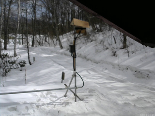 長野県菅平高原 ゆたか山荘 南側 2026/03/08 12:15