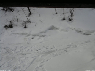 長野県菅平高原 ゆたか山荘 東側(坂下) 2026/03/08 08:00