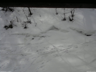 長野県菅平高原 ゆたか山荘 東側(坂下) 2026/03/08 10:30