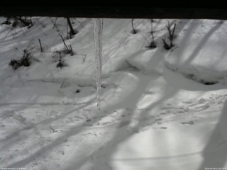 長野県菅平高原 ゆたか山荘 東側(坂下) 2026/03/08 13:30