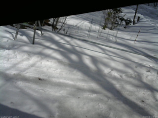 長野県菅平高原 ゆたか山荘 駐車場 2026/03/08 14:00