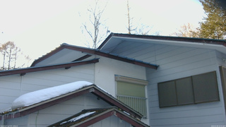 長野県菅平高原 ゆたか山荘 駐車場奥 2026/03/08 16:15