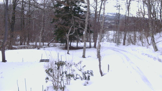 長野県菅平高原 ゆたか山荘 坂上 2026/03/08 09:00