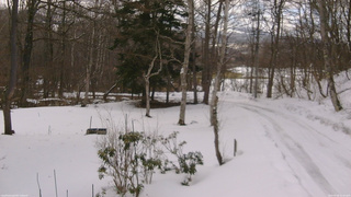 長野県菅平高原 ゆたか山荘 坂上 2026/03/08 11:30